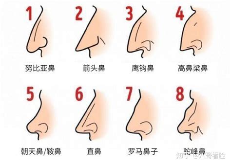 鼻子受傷面相|14种鼻型图解 最全鼻子看相解读命运